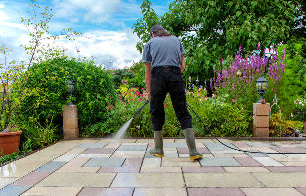 Best Driveway Pressure Washing  in Greenfield, MN